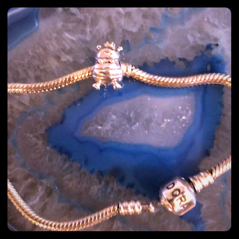 Pandora Charms